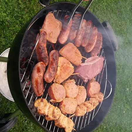 公寓 提洛尔公寓酒店 *